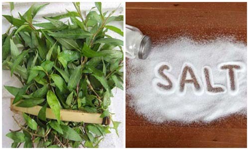 2 cach se khit lo chan long cho lan da vua min mang vua sang bong - 1