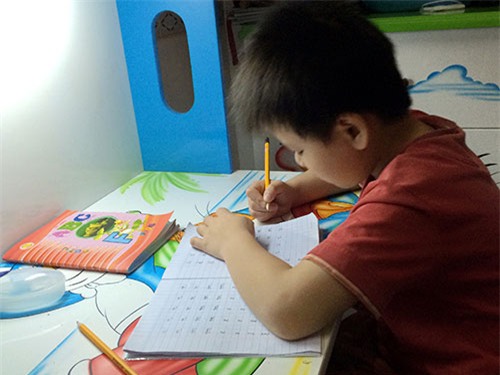 cho con ca nui bai tap de… 