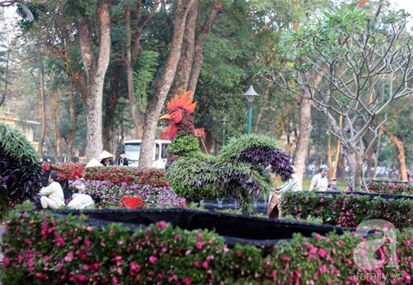 Người Hà Nội sắp được chiêm ngưỡng 12 con giáp bằng cây và hoa thật dịp Tết - Ảnh 15.