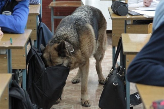 giat minh voi nhung hinh anh "hiem thay" trong lop hoc hinh anh 6