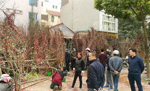 chung dao rung ngay tet: thu choi gay tranh cai! hinh anh 1