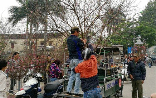 chung dao rung ngay tet: thu choi gay tranh cai! hinh anh 4