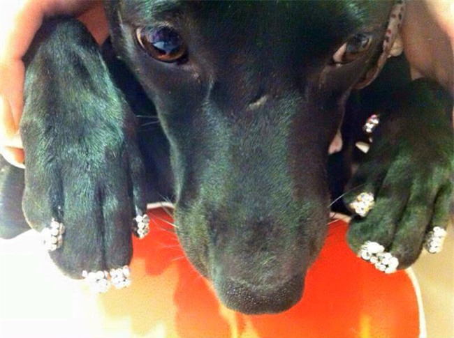 Khoe tóc tai, quần áo xưa rồi! Bây giờ con gái phải khoe móng tay mới đúng mốt! - Ảnh 9.