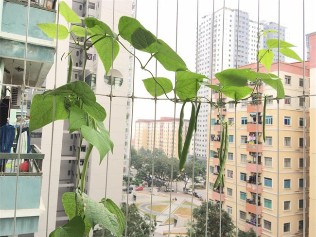 Tổng chi Tết 18 triệu, mẹ trẻ còn tiết kiệm được khoản lớn vì quyết định nghỉ việc 6 tháng ở nhà chăm chồng con - Ảnh 8.