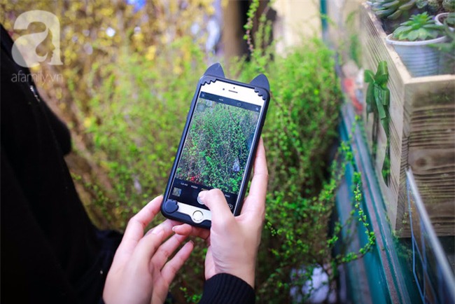 Hà Nội: Chi 72 triệu để mua hoa tươi nhập khẩu đủ tiêu chí độc và đẹp về chơi Tết - Ảnh 7.