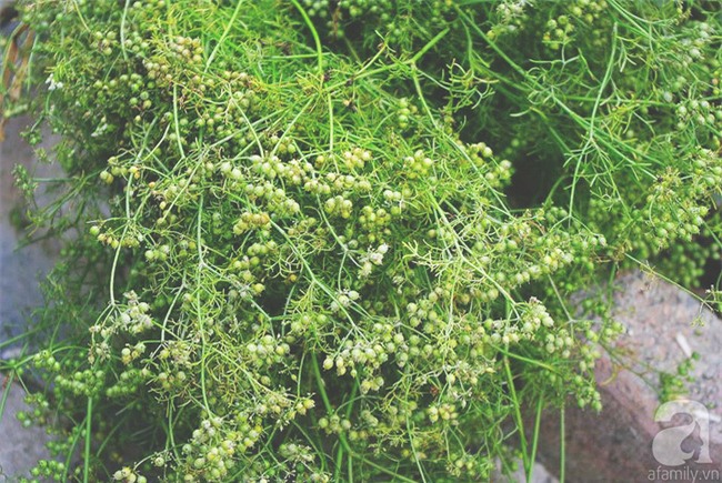 Tắm lá mùi - nghi thức trịnh trọng trong ngày cuối năm - Ảnh 5.