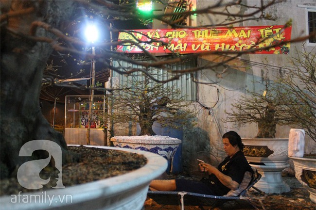 Ngày cuối năm, những người canh mai, canh đào vẫn còn thức trắng đêm ngoài đường - Ảnh 14.