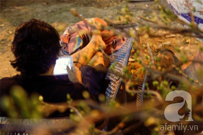 Ngày cuối năm, những người canh mai, canh đào vẫn còn thức trắng đêm ngoài đường - Ảnh 15.