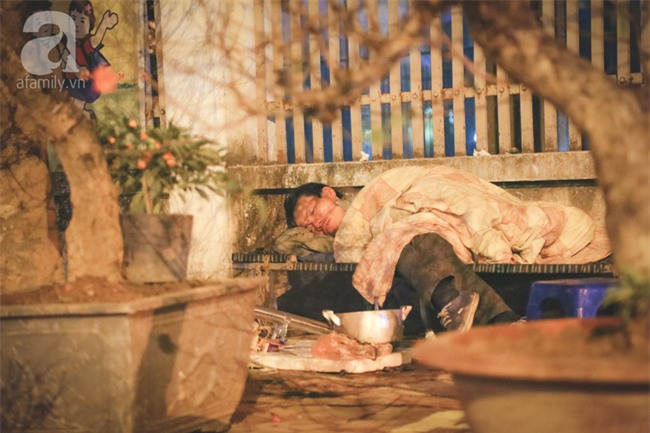 Ngày cuối năm, những người canh mai, canh đào vẫn còn thức trắng đêm ngoài đường - Ảnh 5.