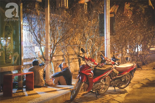 Ngày cuối năm, những người canh mai, canh đào vẫn còn thức trắng đêm ngoài đường - Ảnh 6.