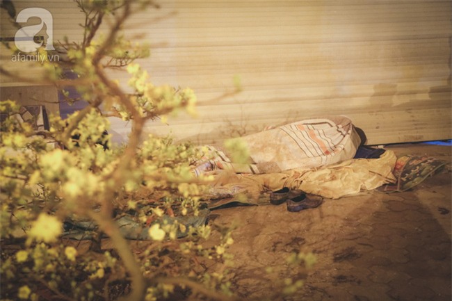 Ngày cuối năm, những người canh mai, canh đào vẫn còn thức trắng đêm ngoài đường - Ảnh 9.