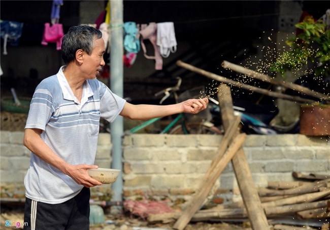 Tet cua nguoi tung bi tuyen 4 an tu hinh anh 13