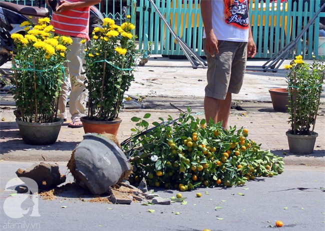 Chợ hoa Sài Gòn ngày 30 Tết: Người “bán tháo bán chạy”, kẻ cay đắng đập chậu - Ảnh 13.