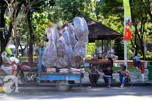 Chợ hoa Sài Gòn ngày 30 Tết: Người “bán tháo bán chạy”, kẻ cay đắng đập chậu - Ảnh 15.