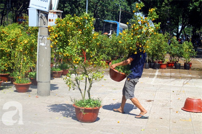 Chợ hoa Sài Gòn ngày 30 Tết: Người “bán tháo bán chạy”, kẻ cay đắng đập chậu - Ảnh 6.