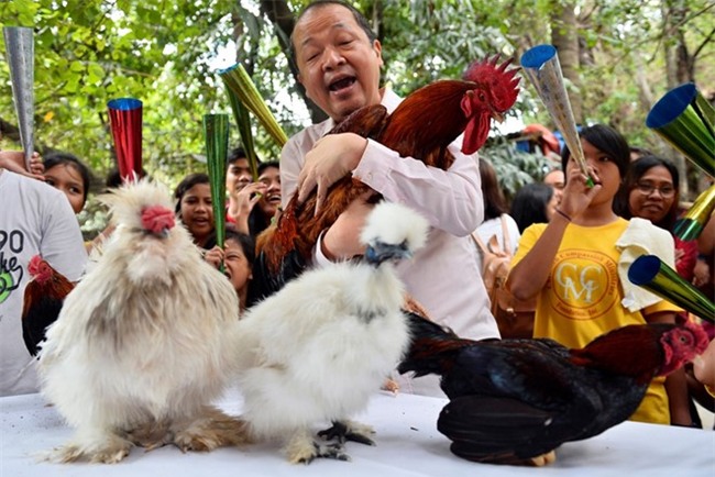 Quan niem ve nam Dinh Dau 2017 trong van hoa phuong Dong hinh anh 2