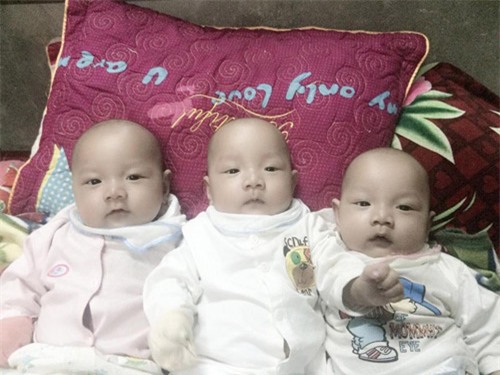dau nam, gap lai ca sinh 3 be trai nam nguyen trong boc oi hy huu nhat vn - 1