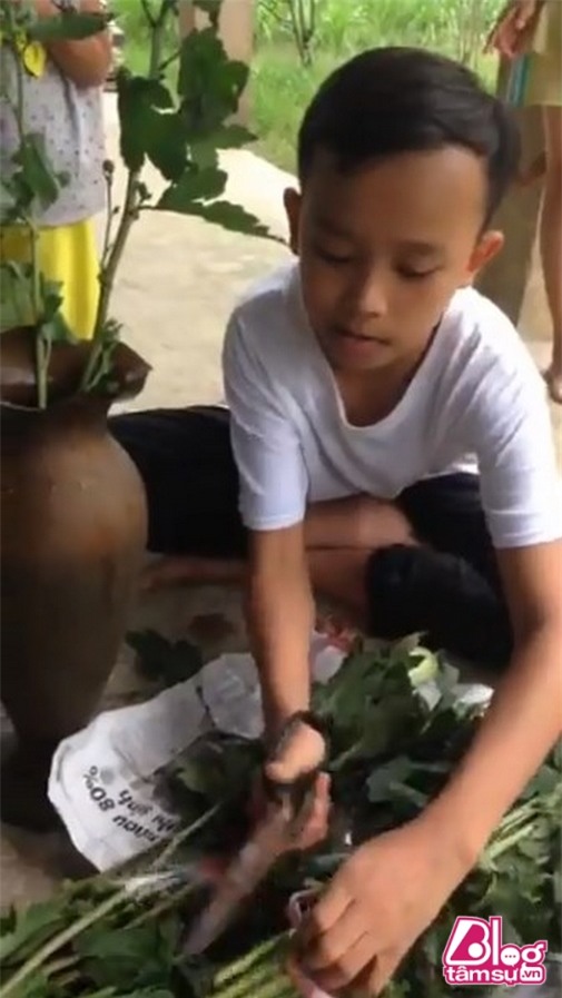 Ho van cuong blogtamsuvn (8)