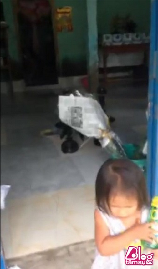 Ho van cuong blogtamsuvn (7)