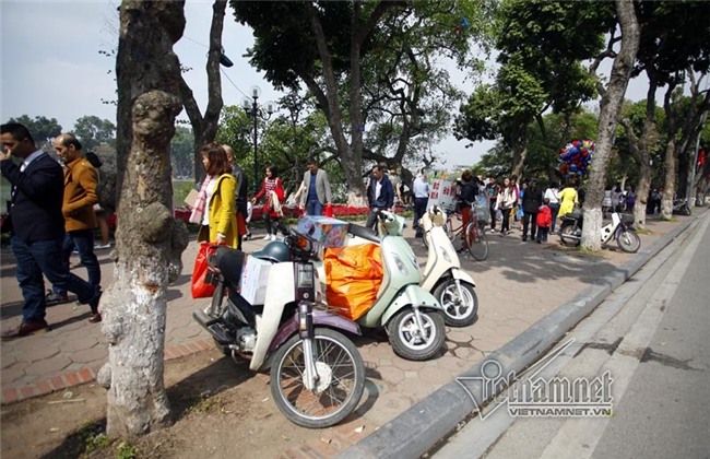 Hình ảnh Hồ Gươm một năm chỉ gặp một lần