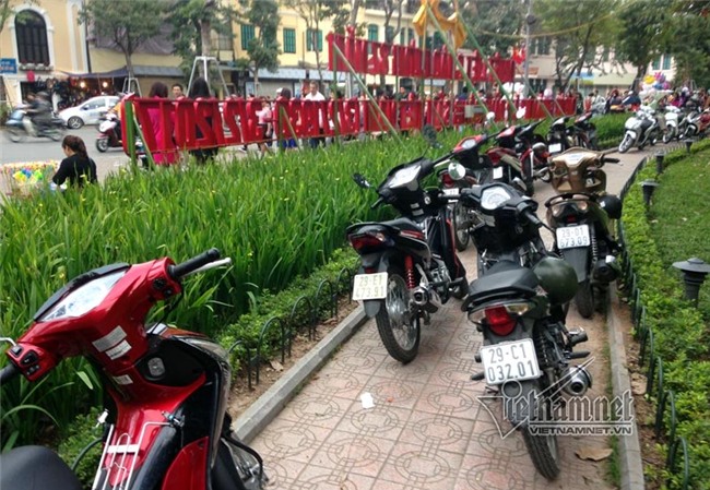 Hình ảnh Hồ Gươm một năm chỉ gặp một lần