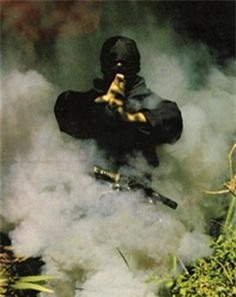 su that ninja nhat don tho, phan than thanh tram nguoi hinh anh 1