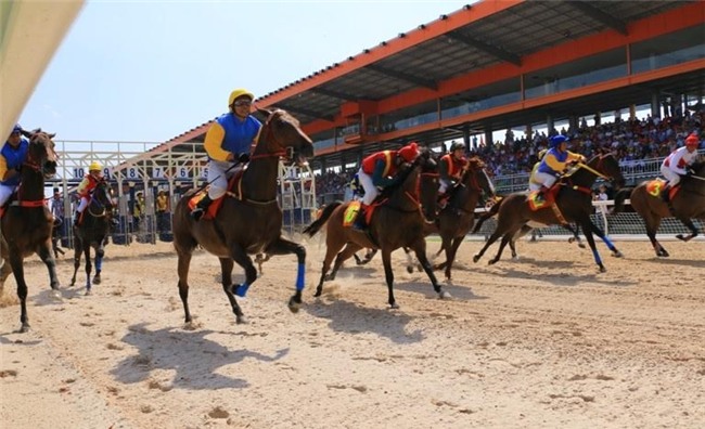 truong dua 100 trieu usd cua ong dung “lo voi” la dau tien cua vn? hinh anh 3