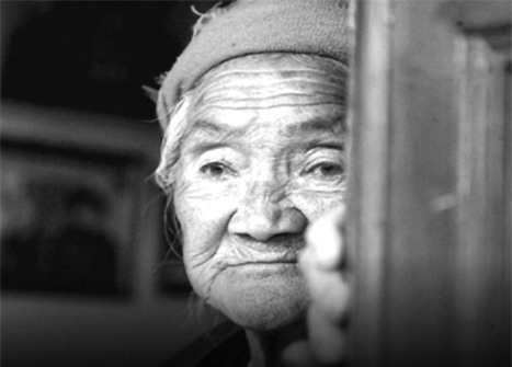 pham nhan mang an chung than va noi sam hoi de cha me gia lao tam kho tu - 1