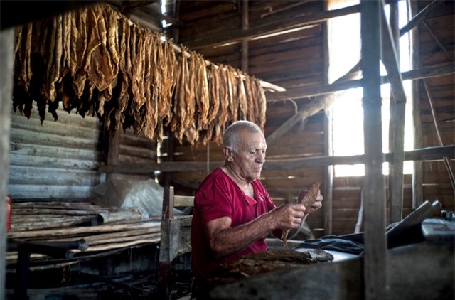 Cigar quấn tay của một nghệ nhân ở Cuba