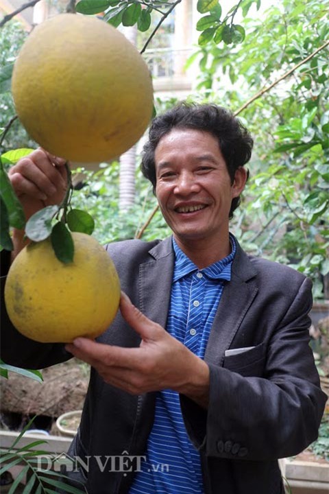 chuyen ve cay buoi dien dac biet gan tram nam tuoi hinh anh 8