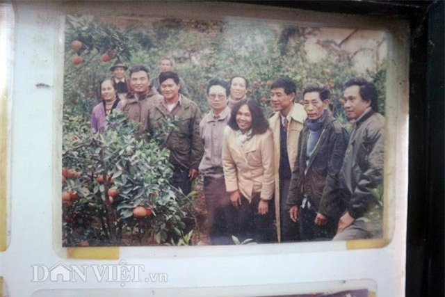 chuyen ve cay buoi dien dac biet gan tram nam tuoi hinh anh 9