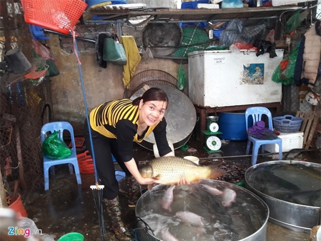 Sau Tet, 1,5 trieu dong mot con ca chep van 'chay' hang hinh anh 2