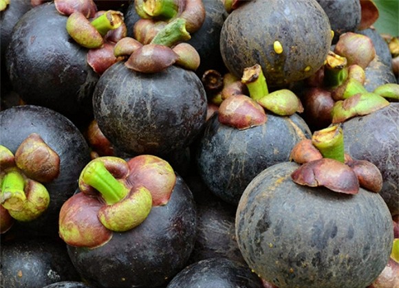 chống ung thư vú, quả cam, chanh, đu đủ, măng cụt, khoai lang, mận, táo,