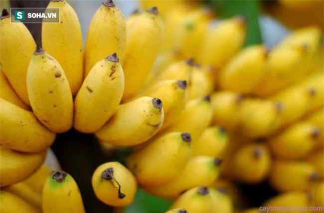 7 bí quyết rất hay của Đông y: Dùng thực phẩm để loại bỏ độc tố của thực phẩm - Ảnh 3.