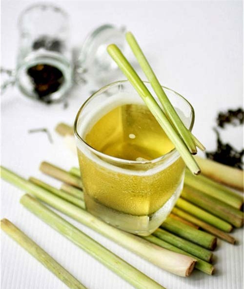 la con gai ban nhat dinh phai biet 3 meo lam dep tu cay sa nay - 6