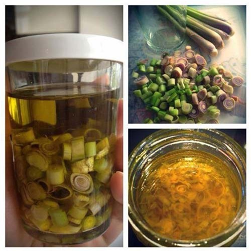 la con gai ban nhat dinh phai biet 3 meo lam dep tu cay sa nay - 8