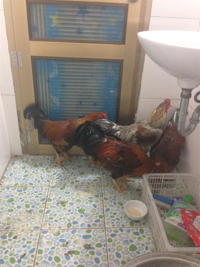 Những tình huống và câu chuyện đặc biệt “chỉ Tết mới có” - Ảnh 5.