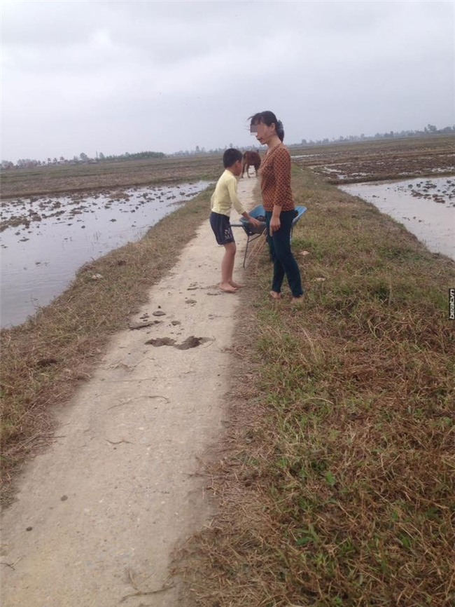 soc voi clip me bat con... boc phan trau bo vi khong thich di hoc hinh anh 1