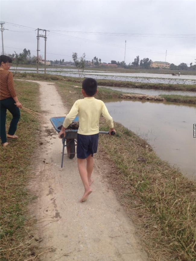 soc voi clip me bat con... boc phan trau bo vi khong thich di hoc hinh anh 2