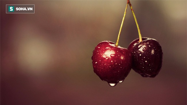 Ăn quá nhiều trái cây cũng không tốt, nhưng 5 loại quả này được khuyên nên ăn thường xuyên - Ảnh 5.