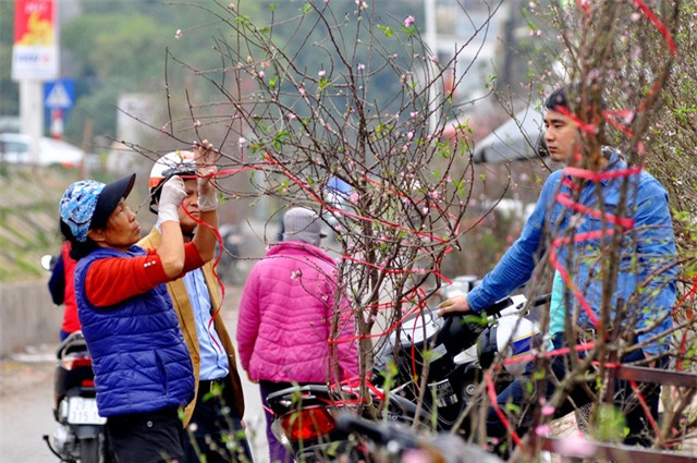 thu mua dao rung choi sau tet o ha noi hinh anh 4