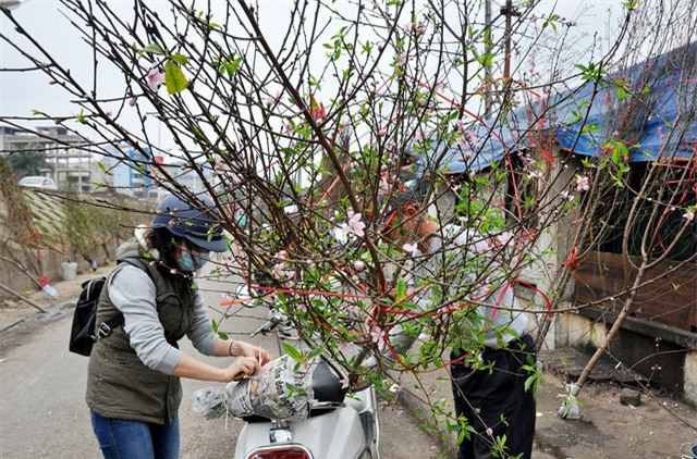 thu mua dao rung choi sau tet o ha noi hinh anh 6
