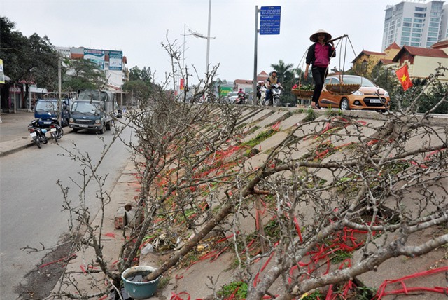 thu mua dao rung choi sau tet o ha noi hinh anh 8