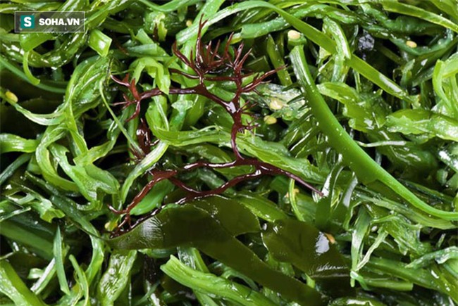 Những thực phẩm thanh lọc phổi tốt nhất: Mỗi gia đình nên bổ sung ngay vào thực đơn - Ảnh 2.