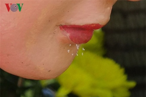 ro tin don ve hoa uu dam 3000 nam no tren tuong phat o binh thuan hinh 4