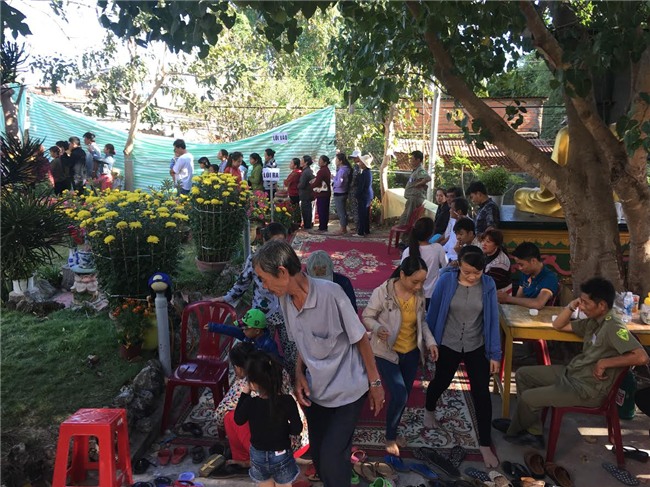 Sự thật hoa Ưu đàm “3.000 năm” nở trên tượng Phật ở Bình Thuận