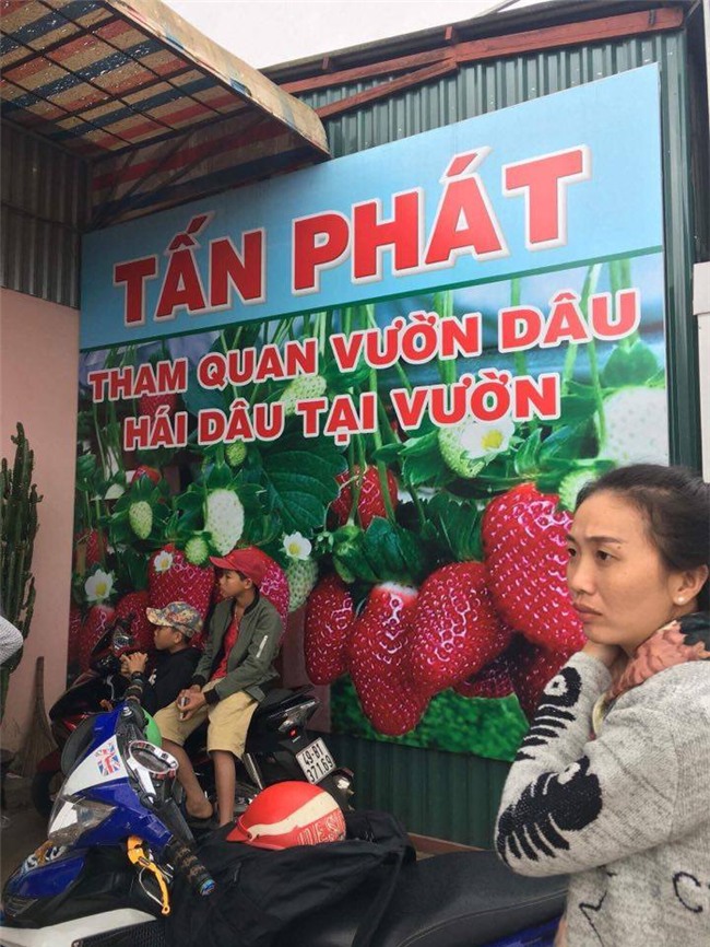 dau nam, nhieu du khach sap bay… “vuon dau mien phi” hinh anh 1