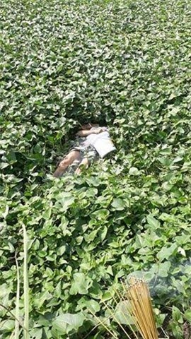 Thi thể nam trong ruộng rau muống, tay cầm chiếc xô nhựa - Ảnh 1.