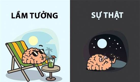 Hầu hết chúng ta vẫn tin vào sự thật là con người chỉ dùng khoảng 10% não bộ và 90% còn lại vẫn chưa được khám phá hết. Tuy nhiên, trên thực tế, bộ não của con người phần lớn đã hoạt động hết công suất, kể cả khi đang ngủ.