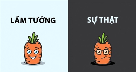 Trong khi nhà nhà đổ xô ăn cà rốt để mắt sáng thì sự thật là tuy có tác dụng tốt cho sức khỏe thậtnhưng cà rốt lại không có công dụng bổ mắt.